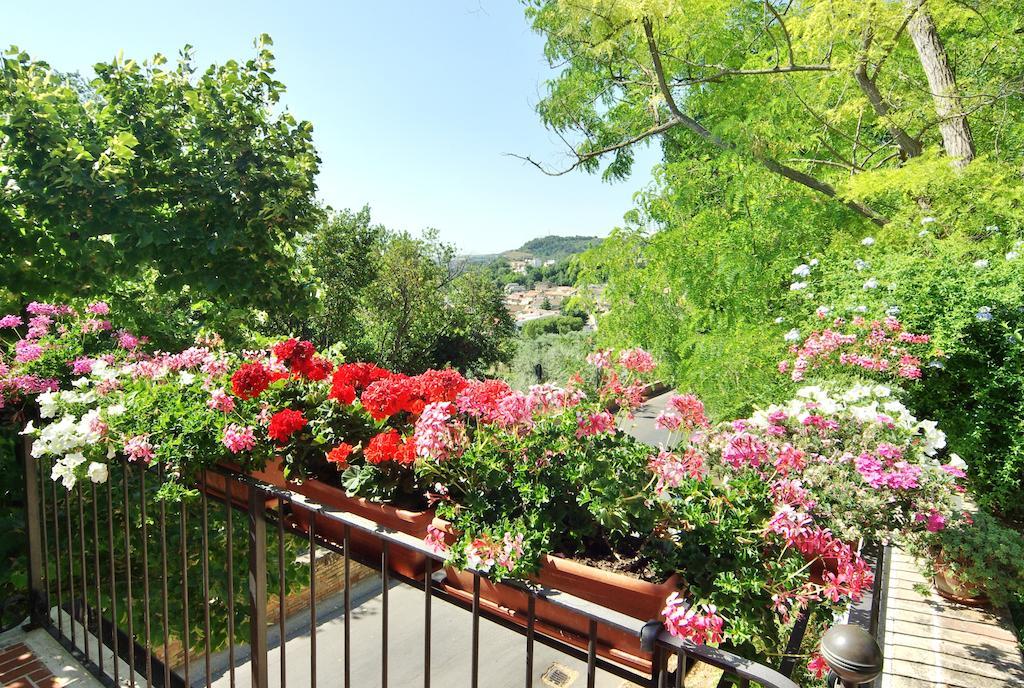 Villa Fiorita Grottammare Εξωτερικό φωτογραφία